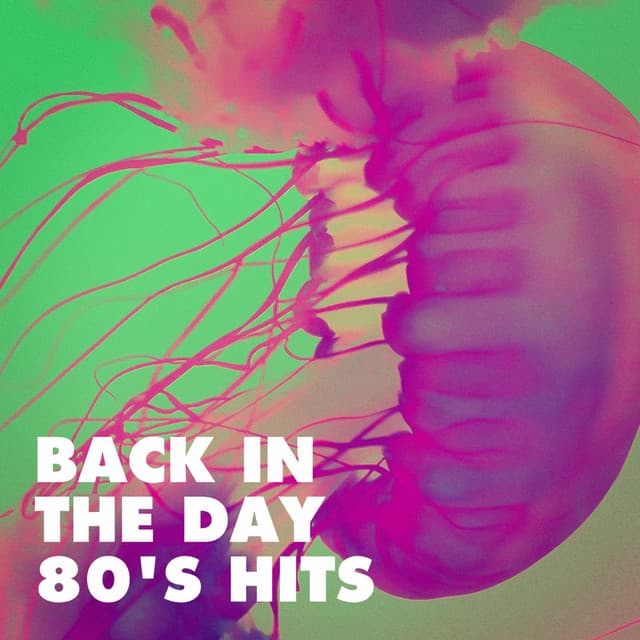 Back in the Day 80's Hits - 80s Pop Stars
