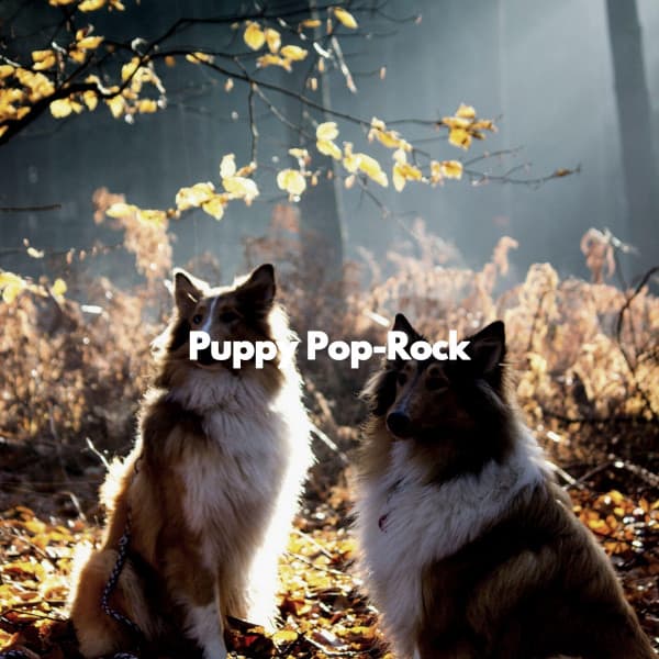 Puppy Pop-Rock - Weekend Jazz Chillout