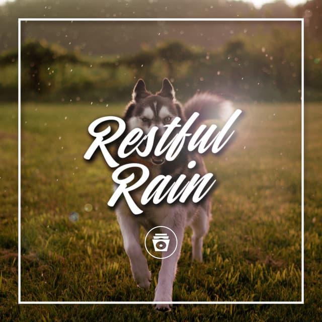 Restful Rain - Dog Sounds