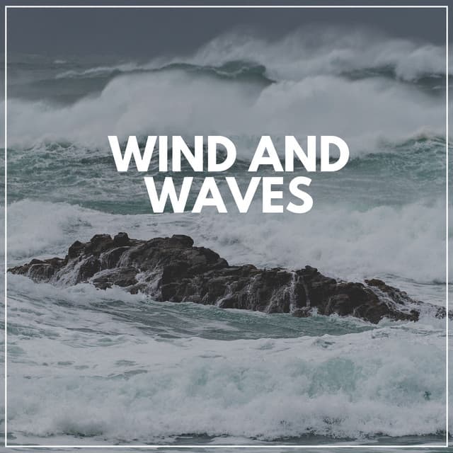 Wind and Waves - Ocean Atmospheres