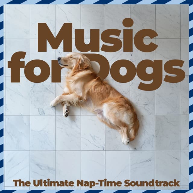 Music for Dogs – The Ultimate Nap-Time Soundtrack - Relaxmydog