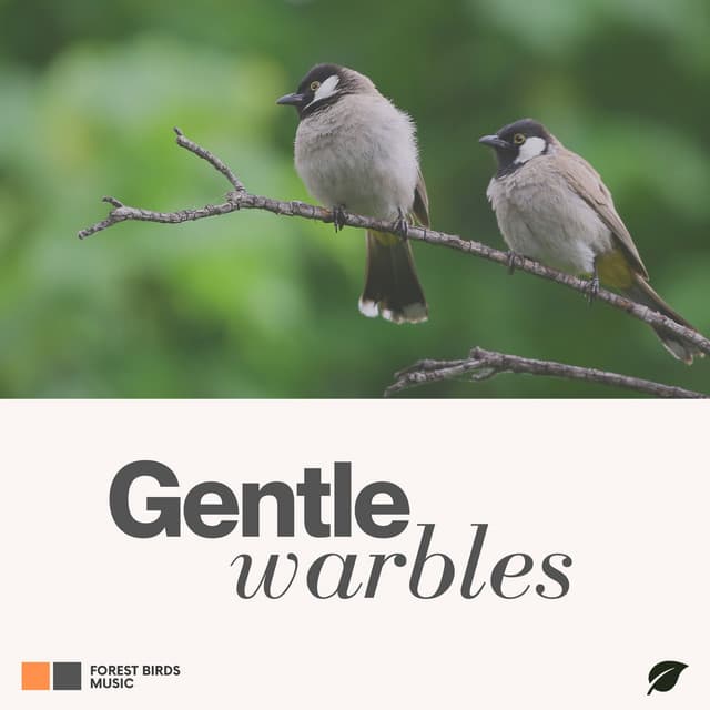 Gentle Warbles - Recording Nature