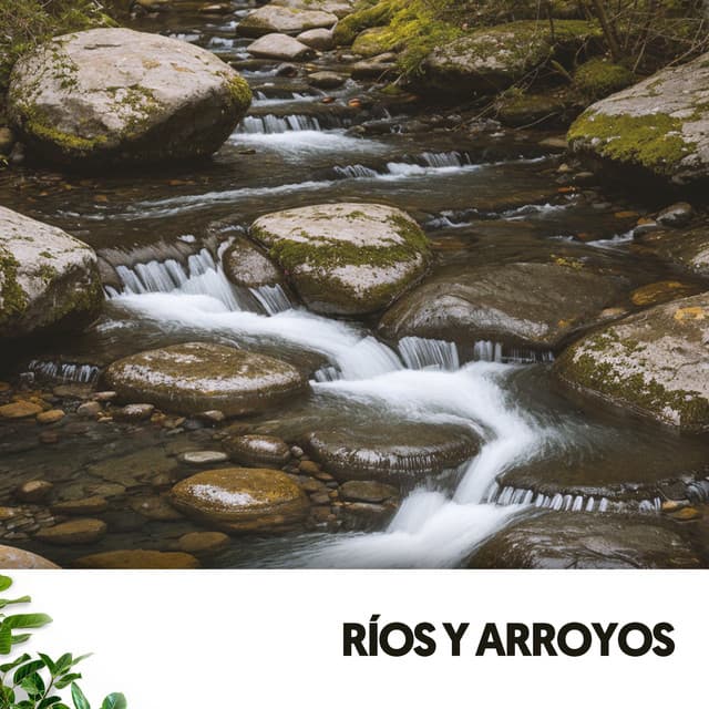 Sonidos del río y música: El canto de la corriente - Rivers and Streams