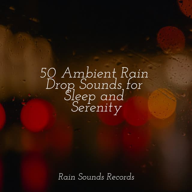 50 Ambient Rain Drop Sounds for Sleep and Serenity - Meeresrauschen