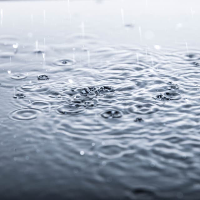 Rain Cloudz