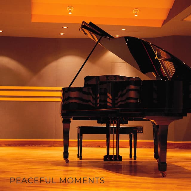 Peaceful Moments - Piano Bar