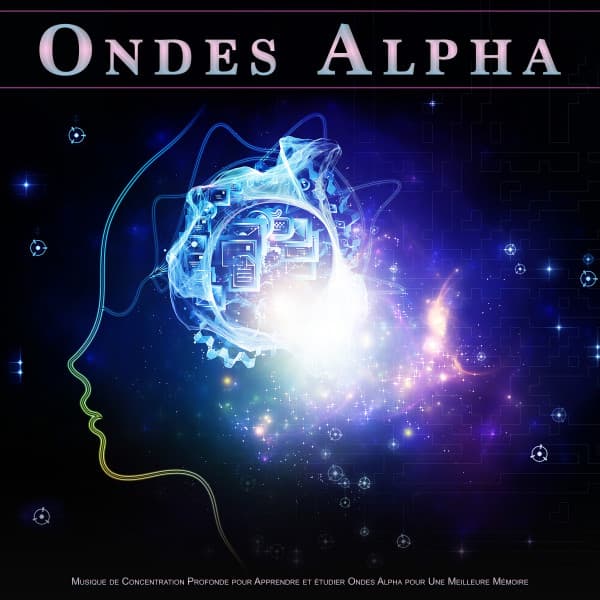 Musique Pour La Concentration