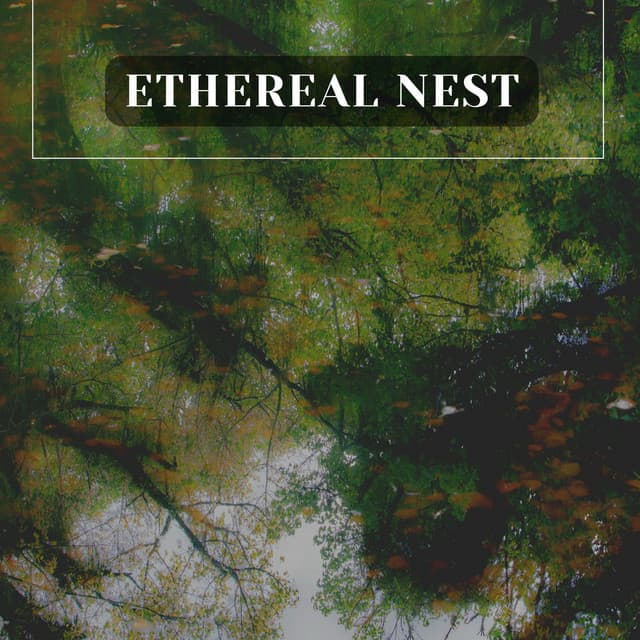 Ethereal Nest - Meditation Guru