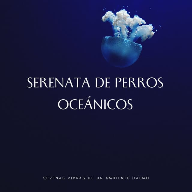 Serenata De Perros Oceánicos: Serenas Vibras De Un Ambiente Calmo - Sonidos del océano Efectos especiales