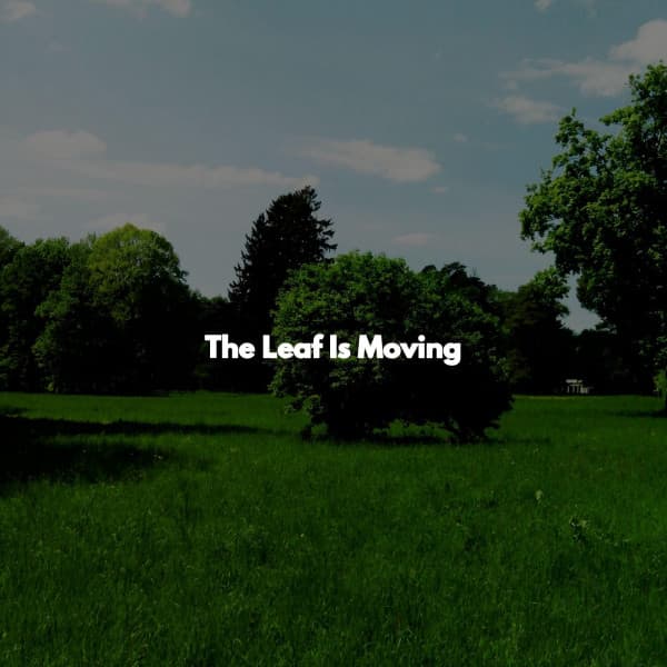 The Leaf Is Moving - Chill Lounge Hotel