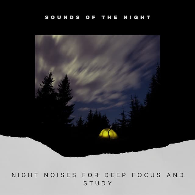Night Noises for Deep Focus and Study - Sounds of the Night