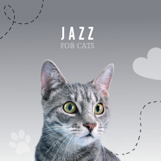 Jazz For Cats - Pet Music Therapy