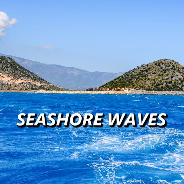 Seashore Waves - Seashore Waves