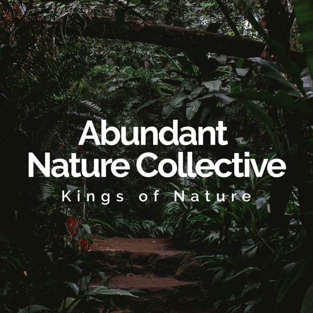 Abundant Nature Collective - Kings of Nature
