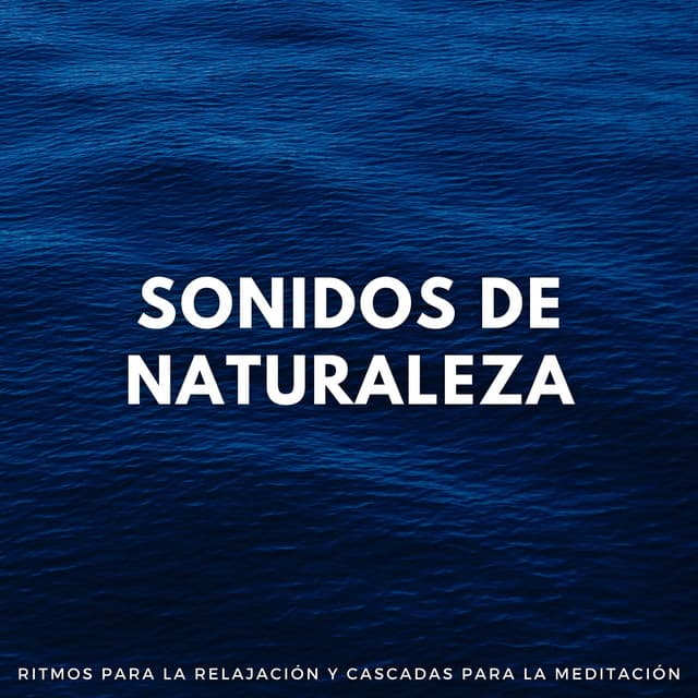 Sonidos De Naturaleza: Ritmos Para La Relajación Y Cascadas Para La Meditación - Sonidos de agua dulce para la paz interior