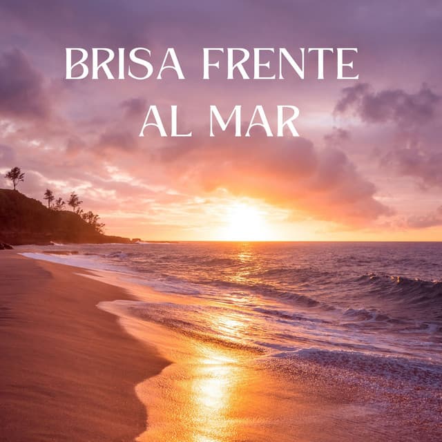 Brisa Frente Al Mar - proyecto de ruido del mar TA