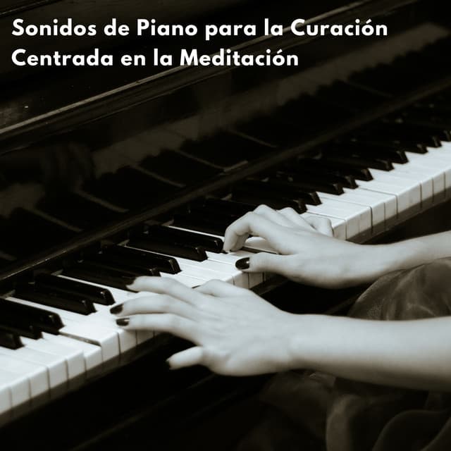Sonidos De Piano Para La Curación Centrada En La Meditación - Relajación Piano