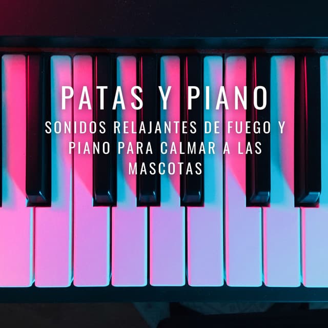 Patas Y Piano: Sonidos Relajantes De Fuego Y Piano Para Calmar A Las Mascotas - RPM (Relaxing Piano Music)