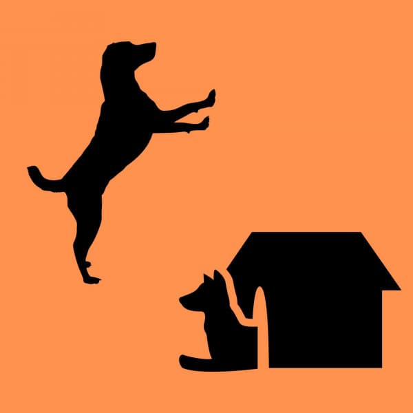 Music for Puppy Mental Health - Good Dog Music