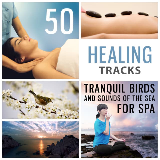 50 Healing Tracks: Tranquil Birds and Sounds of the Sea for Spa & Massage, Instrumental Background Music to De-Stress, Inner Peace, Awakening - Calm Sea Ambient