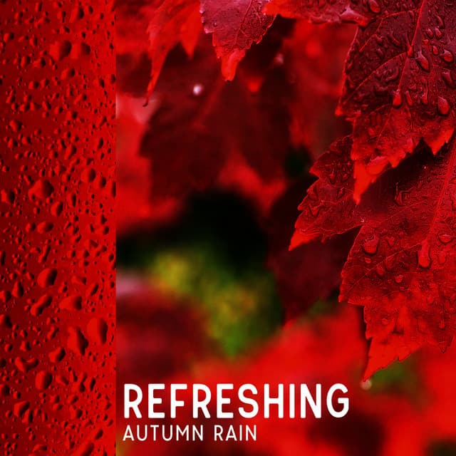 Refreshing Autumn Rain: Body and Mind Relaxation, Calm Rain, Fall Atmosphere - Soothing Music Academy