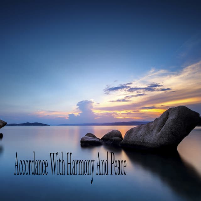 Accordance With Harmony And Peace - Relajacion Meditar Academia