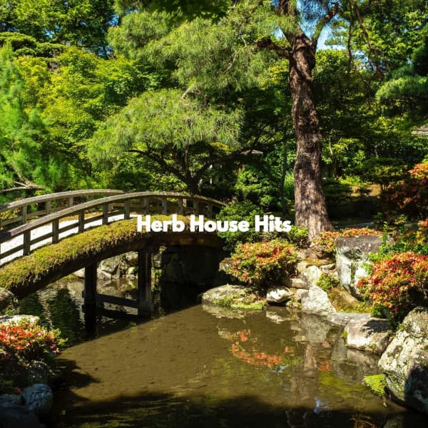 Herb House Hits - Cafe de Musica Instrumental