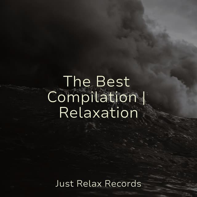 The Best Compilation | Relaxation - Calming Sounds