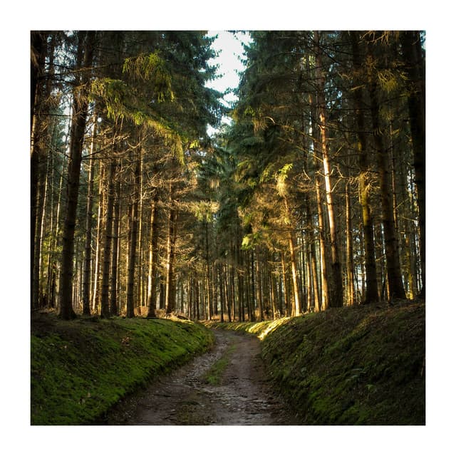 Magical Feelings - Just Breathe Meditation