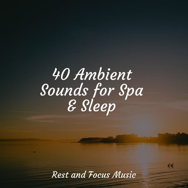 40 Ambient Sounds for Spa & Sleep - Sleep Songs 101