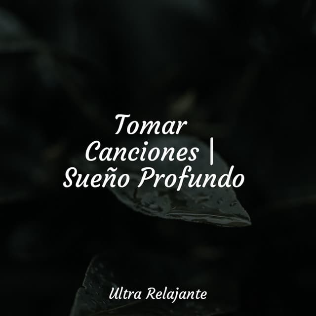 Tomar Canciones | Sueño Profundo - Meditação Yoga