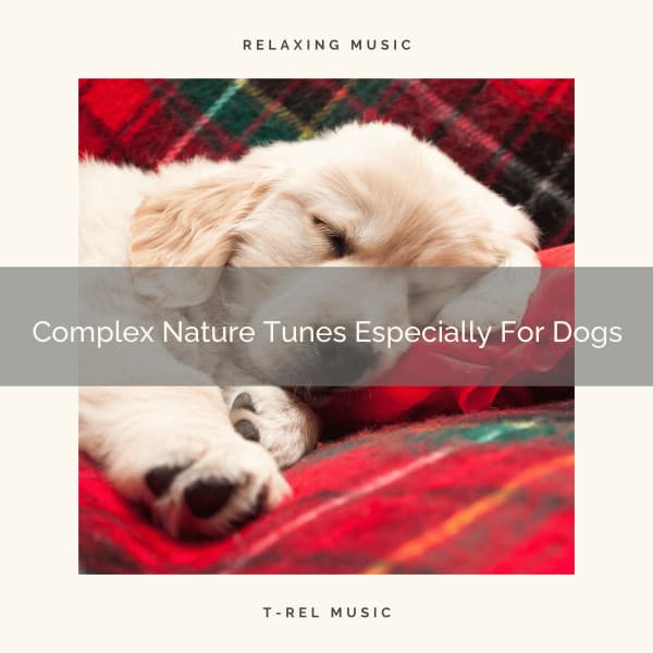Complex Nature Tunes Especially For Dogs - Pets Total Relax