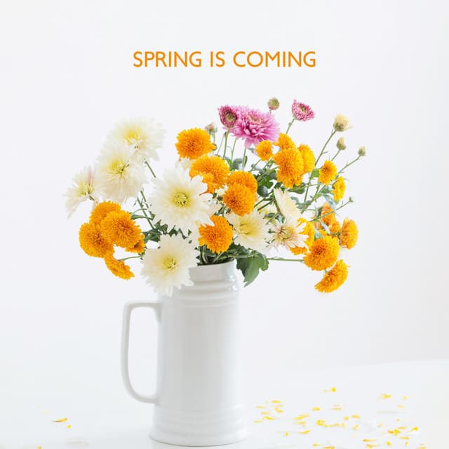 Spring Is Coming - Icy Wind