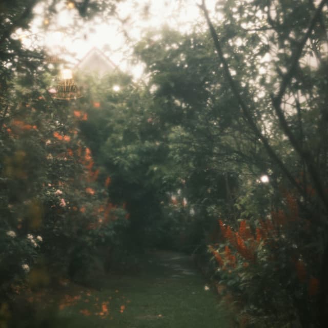 100 Contemplations: Sooner Now - Yoga Music