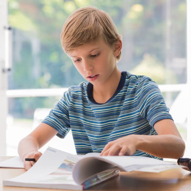 Tranquil Study Curiosity: Fire's Binaural Sounds for Knowledge Absorption - Ultimate Fire Experience