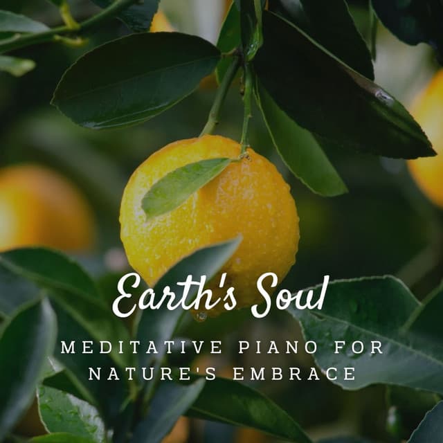 Harmonies of Earth's Soul: Meditative Piano for Nature's Embrace - Relaxing Piano Music Universe