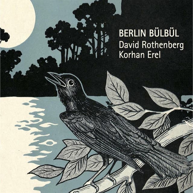 Berlin Bülbül - David Rothenberg