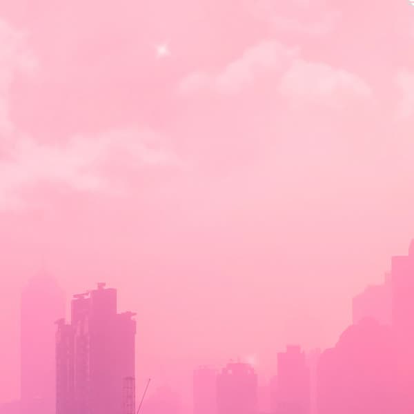 Pink City - Bertiee