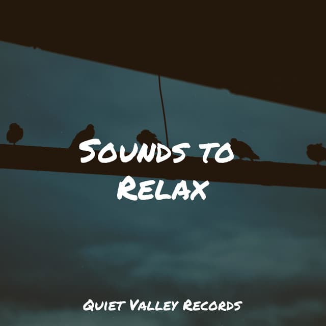 Sounds to Relax - Ambient Nature White Noise
