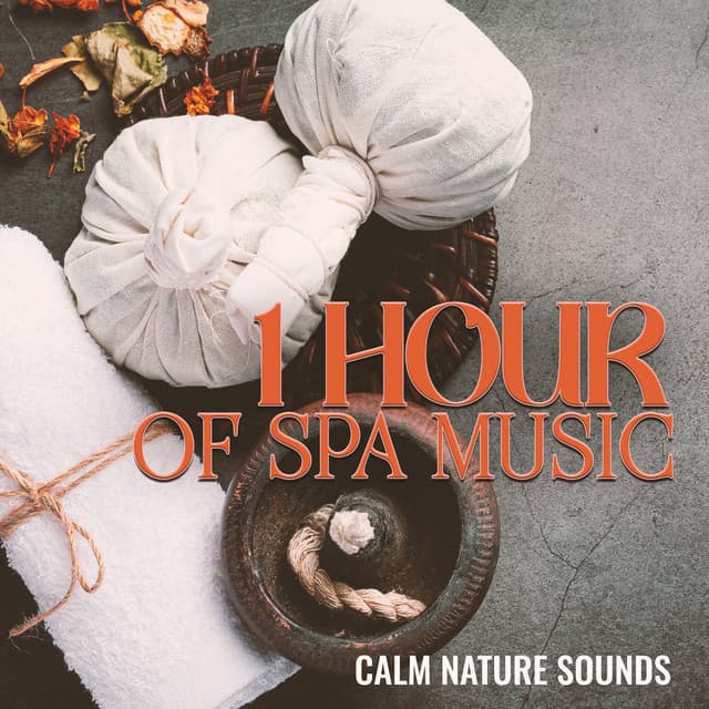 1 Hour of Spa Music: Calm Nature Sounds, Water and Birds for Massage and Chiropractic Parlor - Relaxing Spa Music Zone
