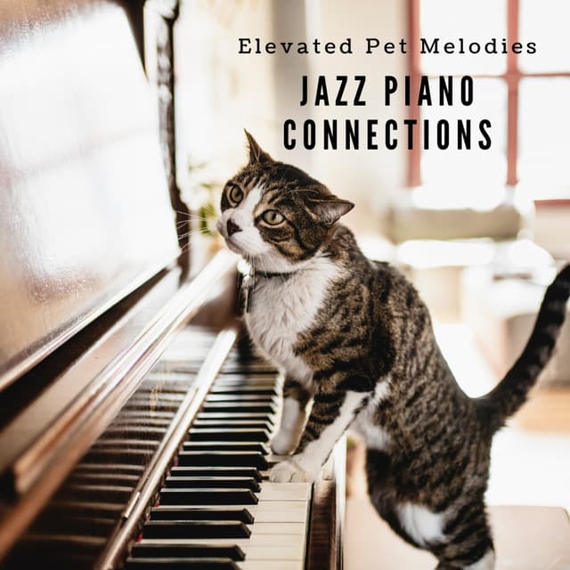 Elevated Pet Melodies: Jazz Piano Connections - Jazz Piano Instrumentals