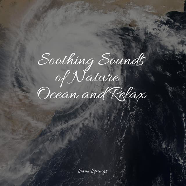 Soothing Sounds of Nature | Ocean and Relax - Sleep Rain