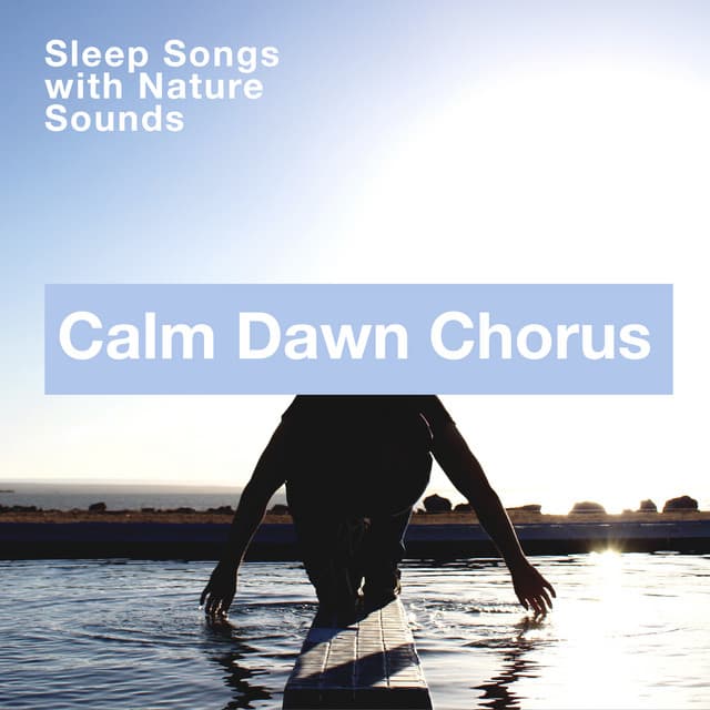 Calm Dawn Chorus - Sleep Songs with Nature Sounds