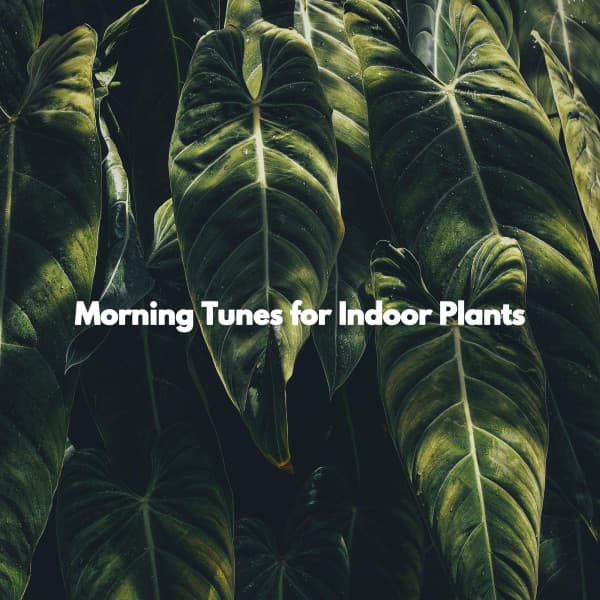Morning Tunes for Indoor Plants - Music for Retail Stores
