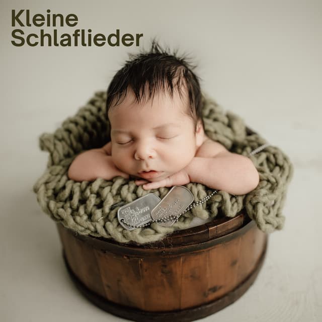 Kleine Schlaflieder - Baby Schlafmusik Akademie