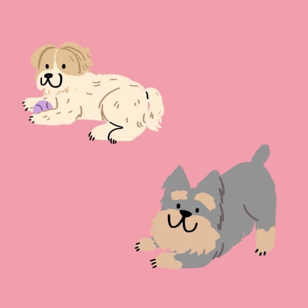 Cool Jazz Violin - Background for Relaxing with The Puppy - Relax My Puppy