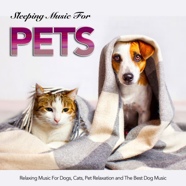 Sleeping Music For Pets, Relaxing Music For Dogs, Cats, Pet Relaxation and The Best Dog Music - Music For Pets