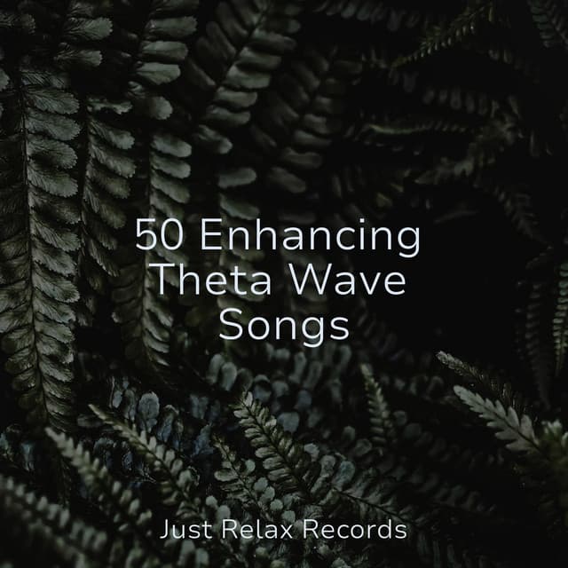 50 Enhancing Theta Wave Songs - Ambiente