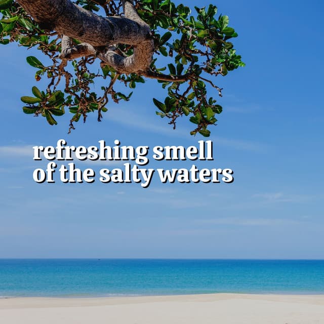 Refreshing Smell of the Salty Waters - Stress Relief Calm Oasis