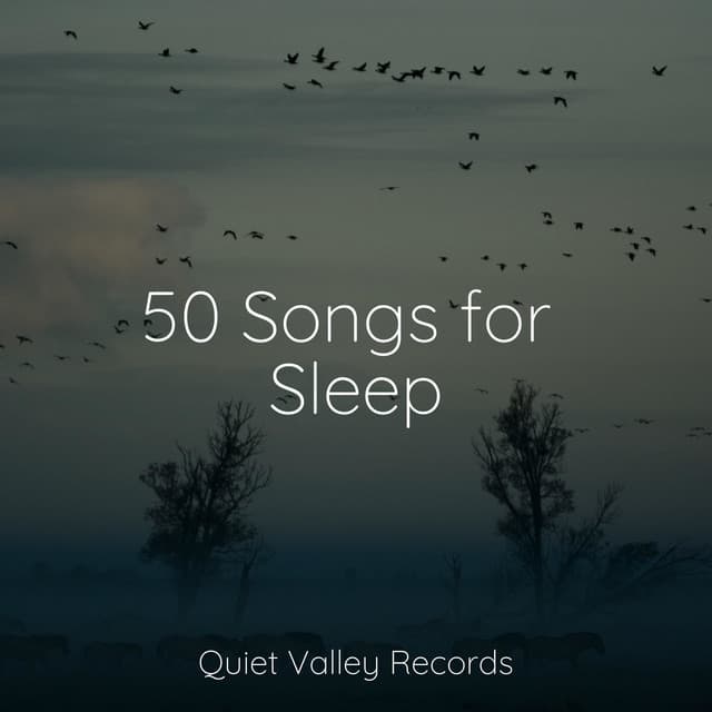 50 Songs for Sleep - Pro Sound Effects Library